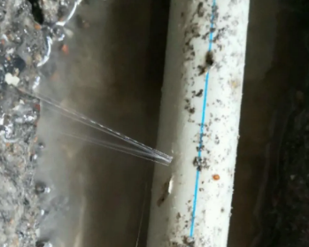 仙桃卫生间测漏水多少钱