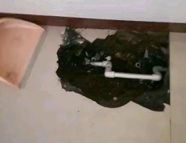 仙桃卫生间测漏水多少钱